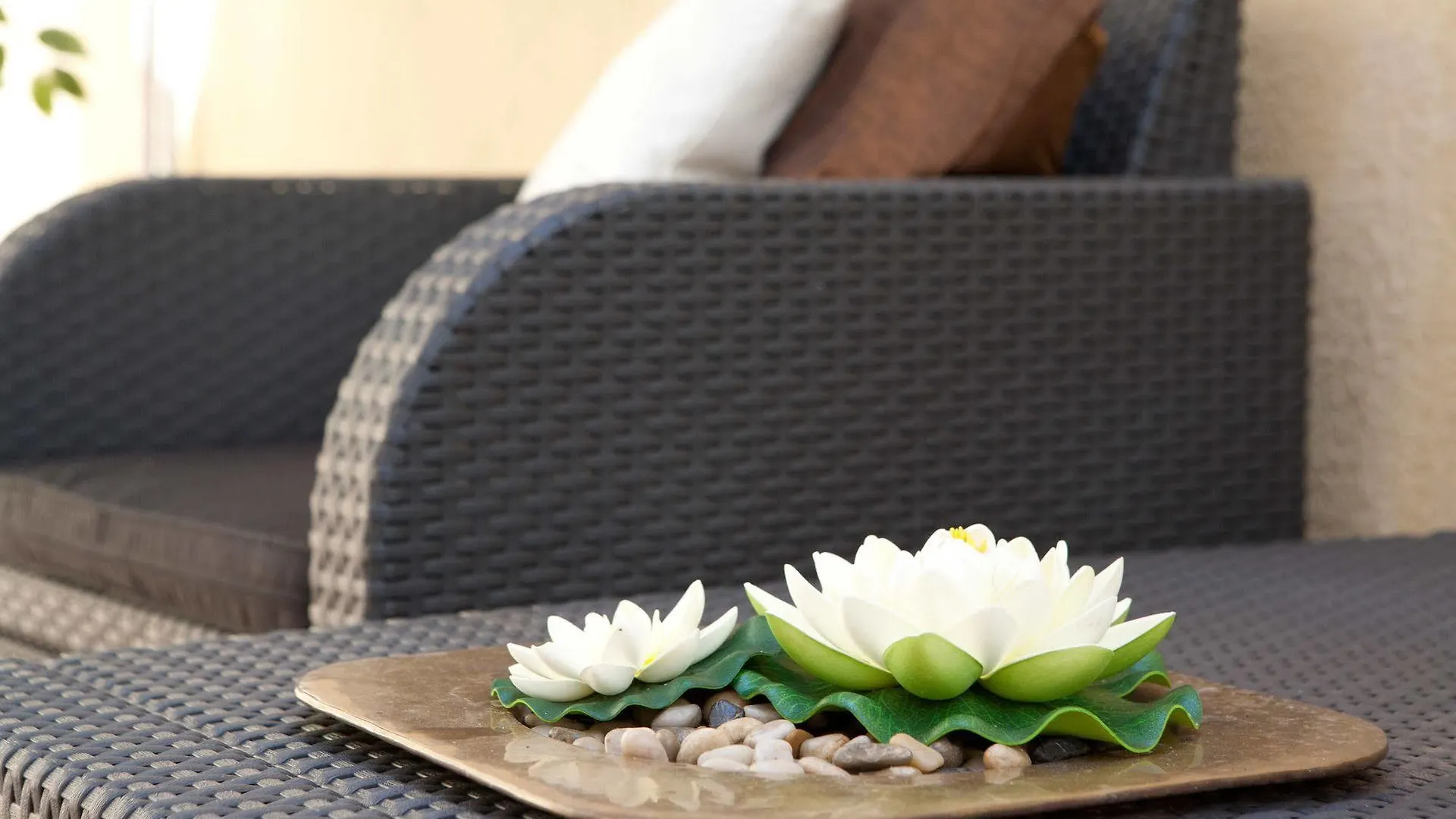 Casa Maca Guest House Barcelona Bed & Breakfast